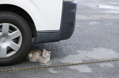 車の下で