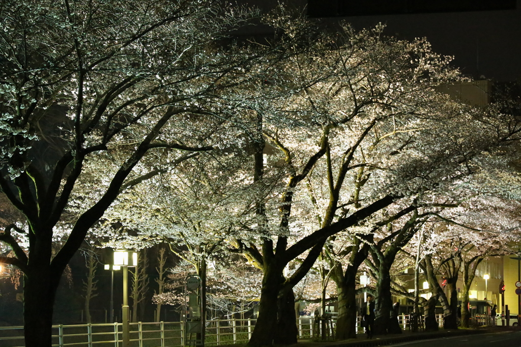 夜の輝き