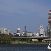 湖から