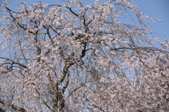 春色吐息
