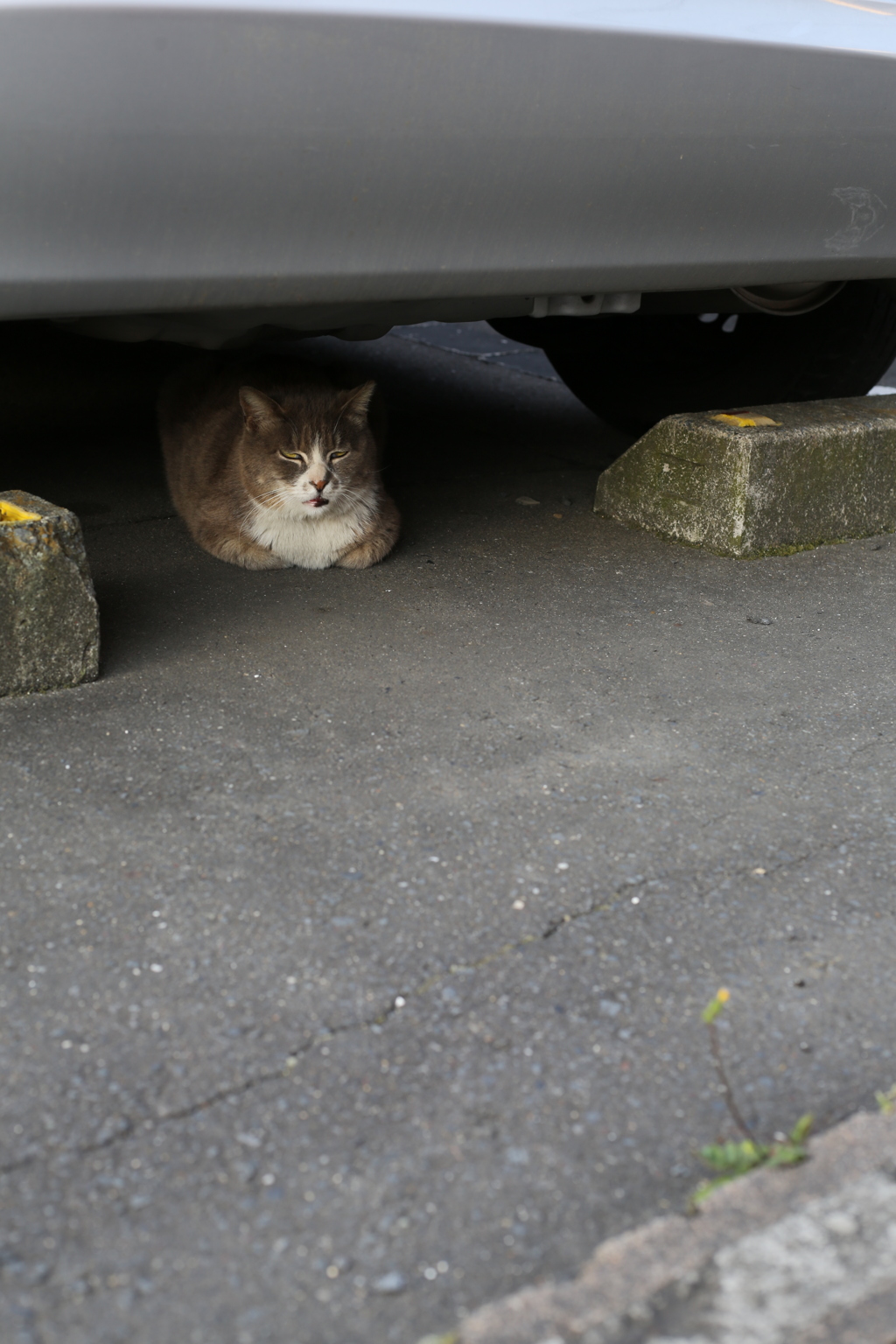 私の居場所