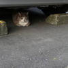 私の居場所