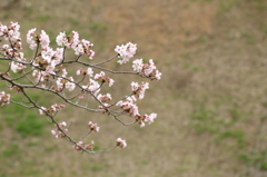 4月