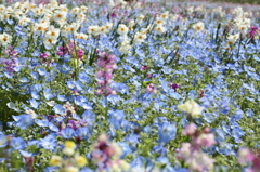 春の花園