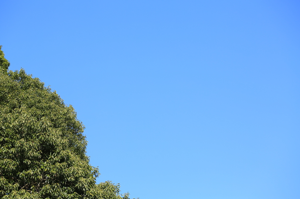 ある日の青空