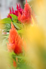 ポップな夢空間