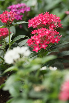 向こう側に見える幸せ