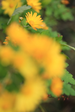 向こうに見えてる幸せ