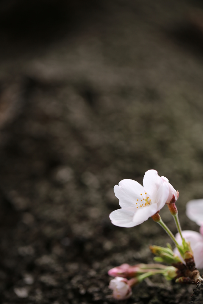 そっと