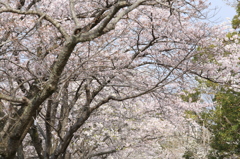 春の空気