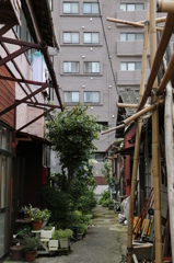 路地裏の風景