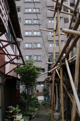 路地裏