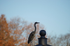 DSC00037