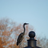 DSC00037