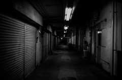 DSC00181