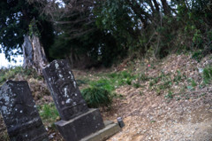 road