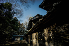 DSC00417