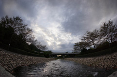 DSC06599