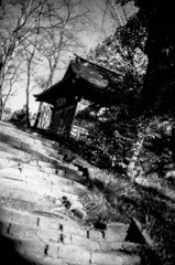 DSC00425