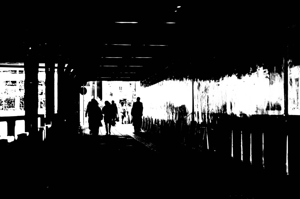 DSC00742