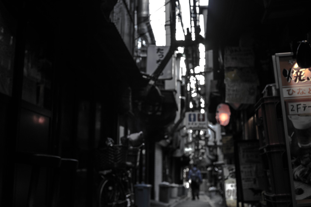 DSC00515