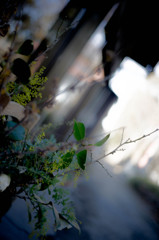 DSC00388
