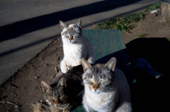 DSC00480