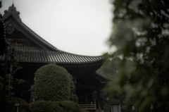 みつを　原点