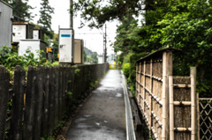 鎌倉路