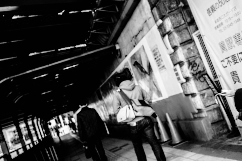 DSC00534