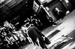 DSC00977
