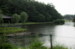 DSC03863