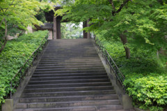 鎌倉路