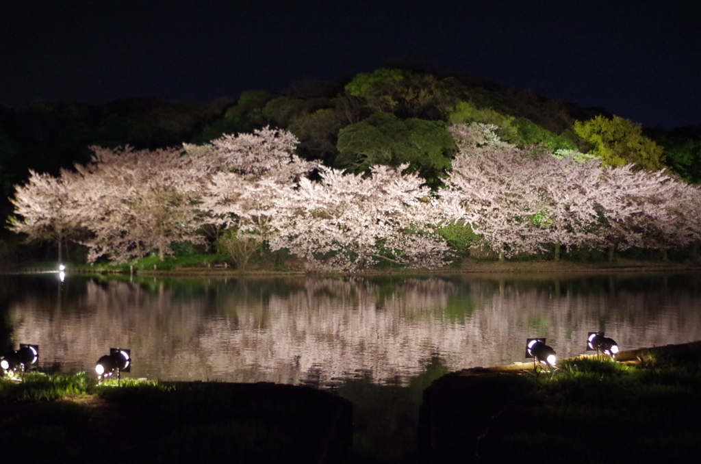 三溪園