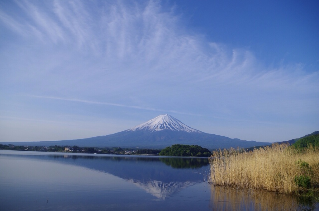 河口湖大石公園より逆さ富士。