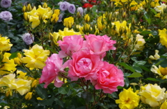 県立フラワーガーデン大船植物園