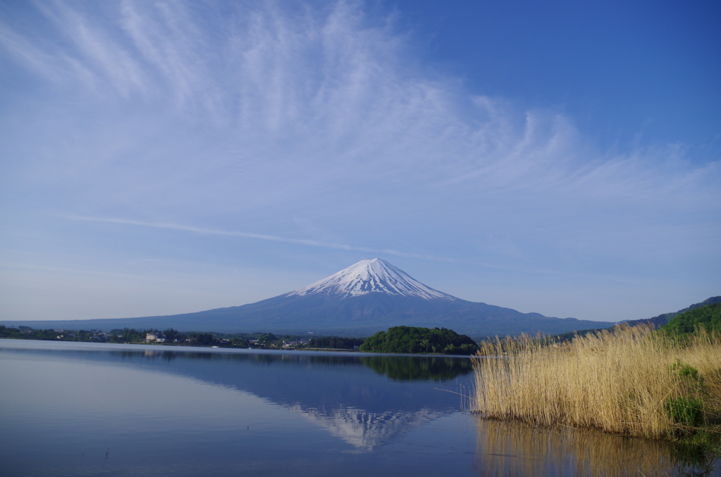 大石公園逆さ富士（河口湖）5/19AM6:00