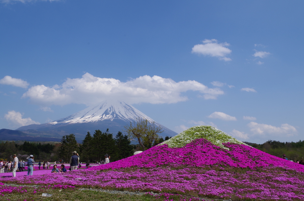 W富士山　もう一歩で笠雲