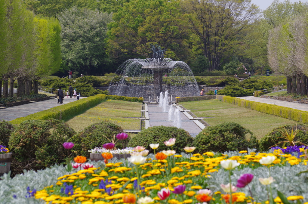 国営昭和記念公園　(立川口)