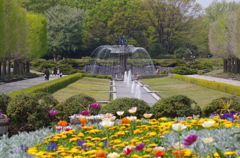 国営昭和記念公園　(立川口)