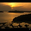土谷棚田15