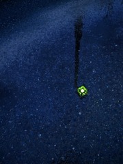 水たまりの街灯