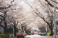 かむろ坂