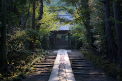 薄暮の神社