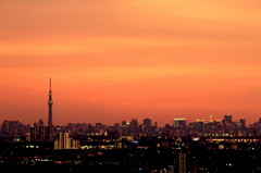 大都会の夕景