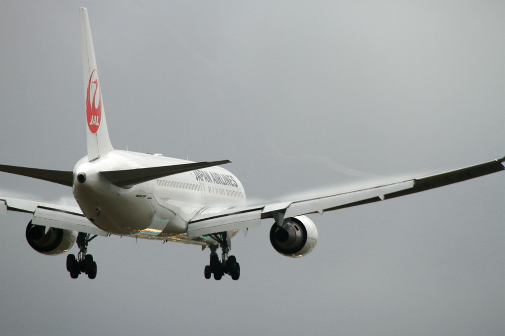 JAL B767