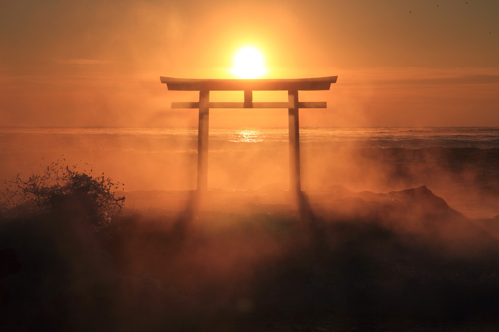朝陽を浴びて