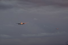 B-787とB-747