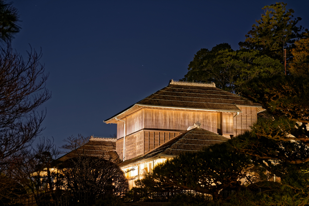 夜の偕楽園１