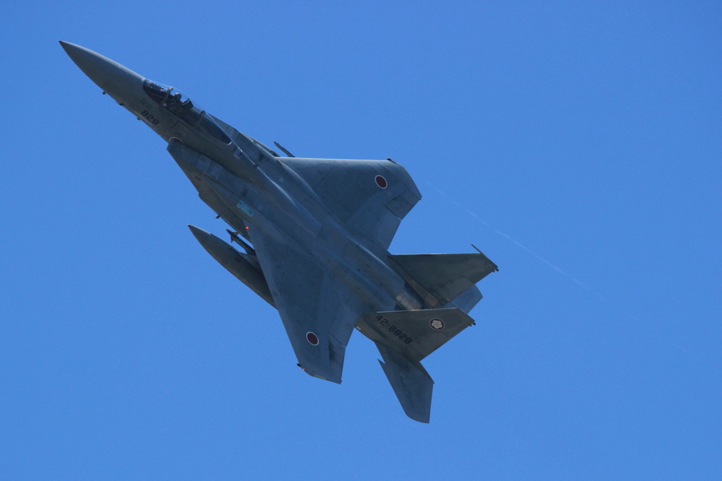F-15J